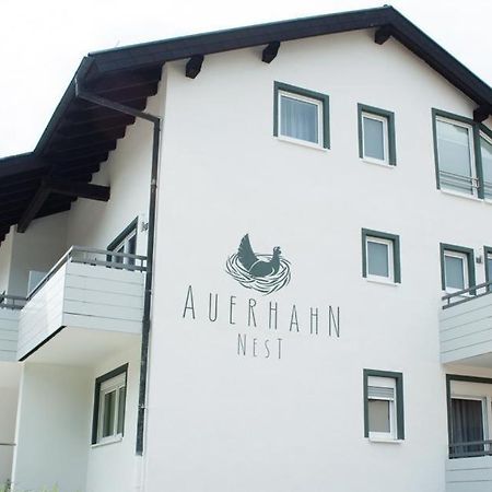 巴特维尔德巴德 Auerhahn Nest酒店 外观 照片